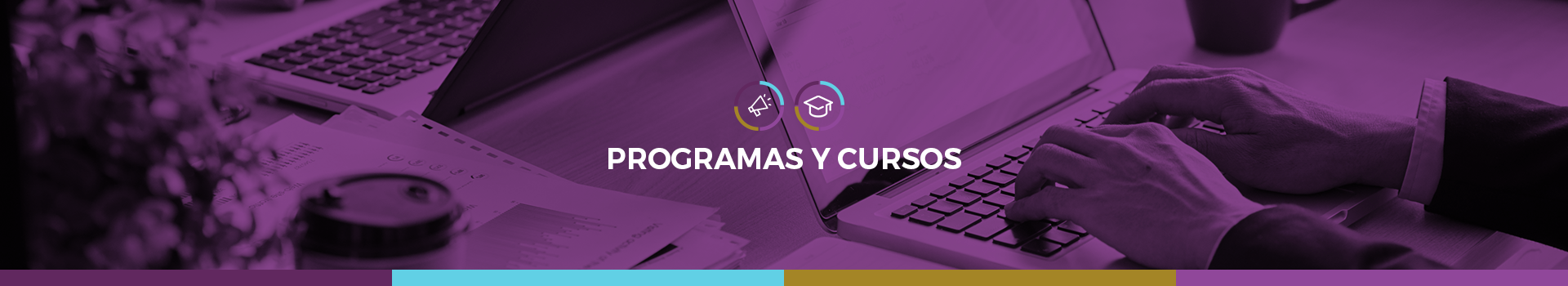 PROGRAMAS Y CURSOS